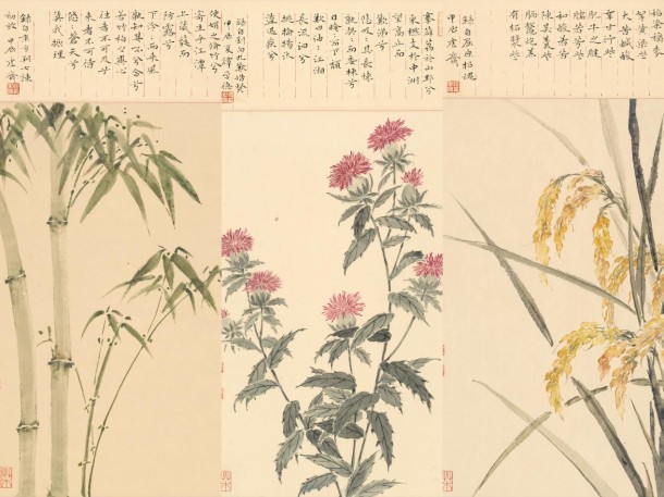 当楚辞的草木重新开花：一部画谱与一场跨越千年的对话