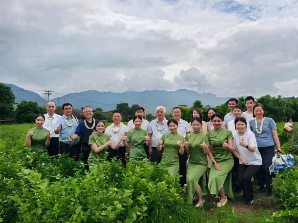 福茶向新 绿创未来|闽派健康茶饮迭代升级 多元赛道激活乡村振兴新动能